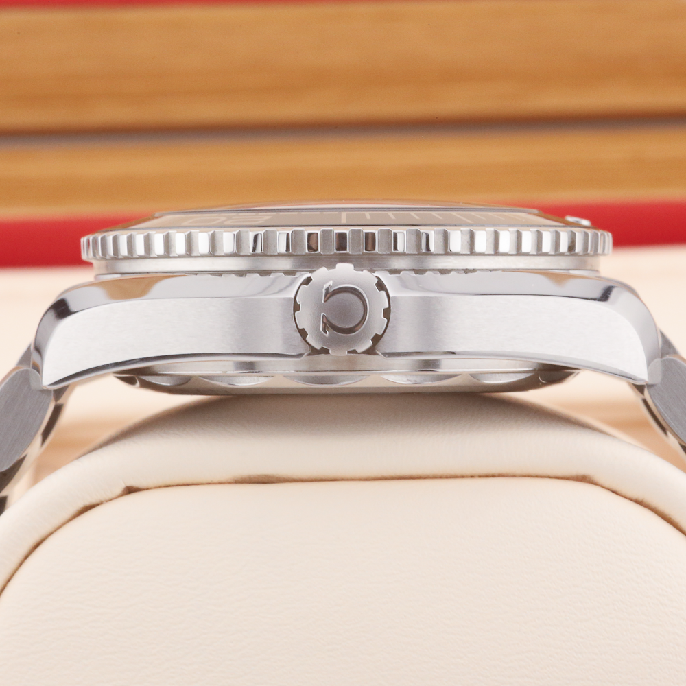 Omega Seamaster Planet Ocean 21530402001001 Year: 2021