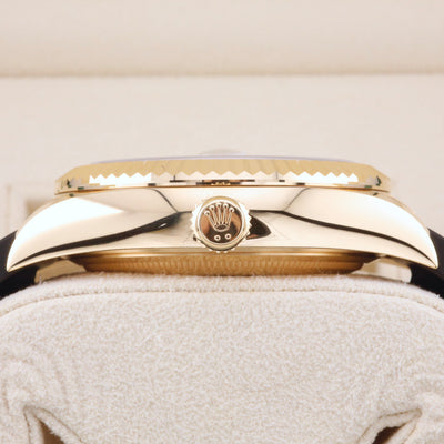 Rolex Sky-Dweller White Dial 336238 Year: 2023