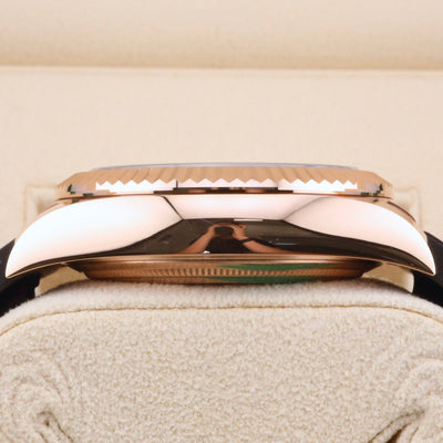 Rolex Sky-Dweller Chocolate Dial 336235 Year: 2023