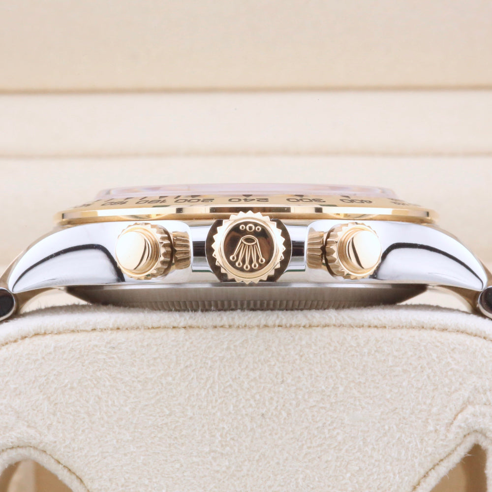 Rolex Daytona Champagne Dial 116503