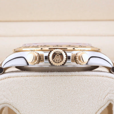 Rolex Daytona Champagne Dial 116503