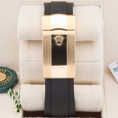Rolex Sky-Dweller White Dial 336238 Year: 2023